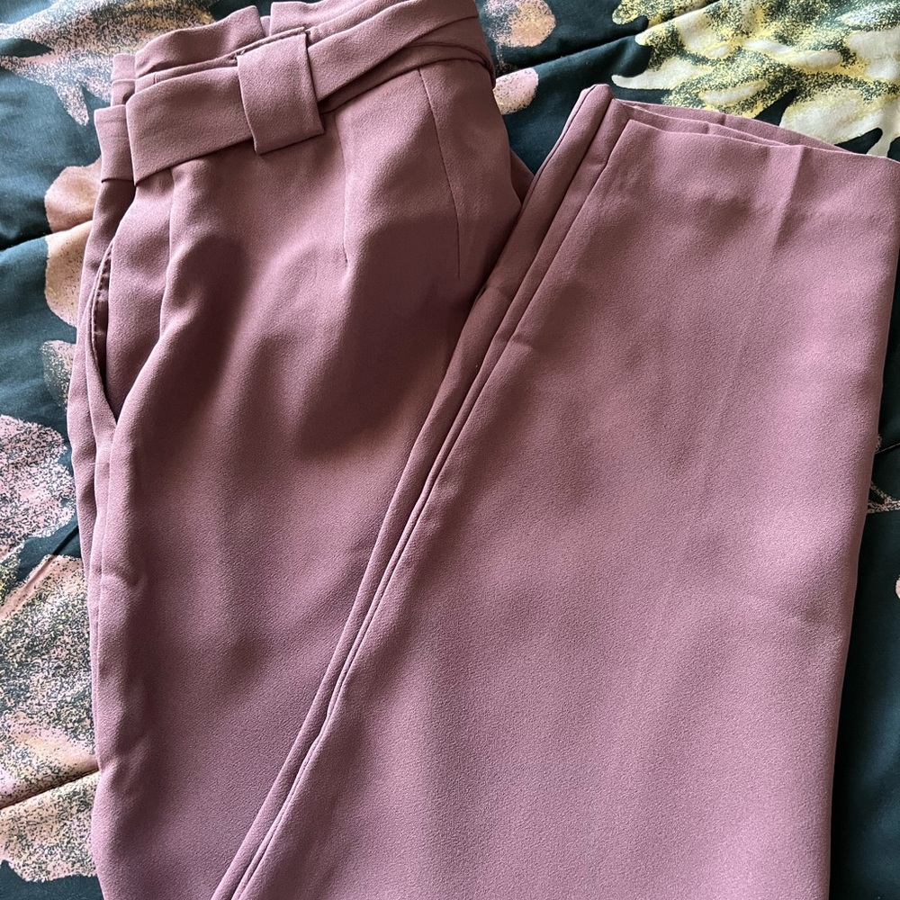 Express Dress pants